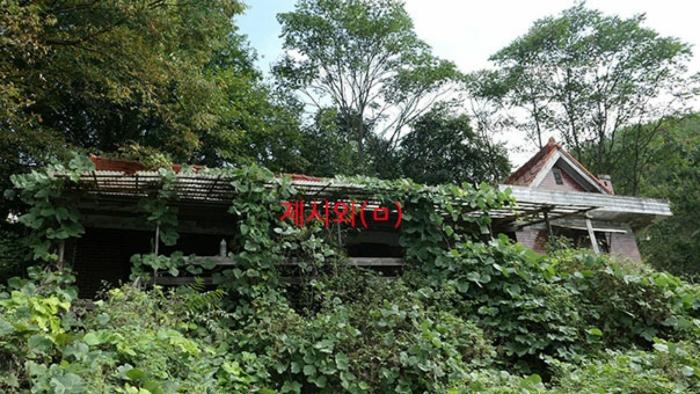 경상남도 합천군 묘산면 관기리 502-3 임야 경매 사진 21