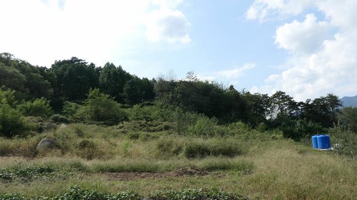경상남도 합천군 묘산면 관기리 502-3 임야 경매 사진 27