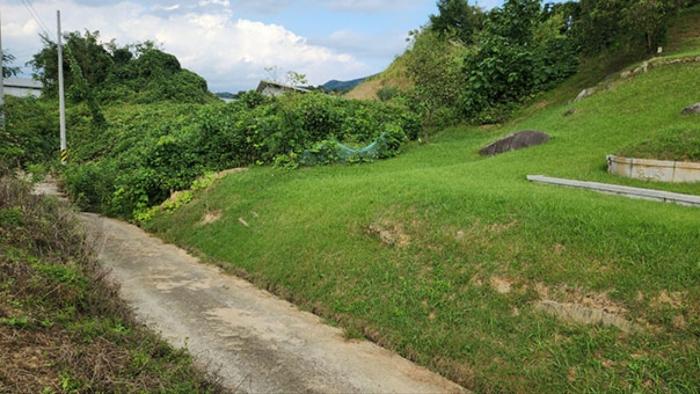 경상남도 합천군 묘산면 관기리 502-3 임야 경매 사진 32