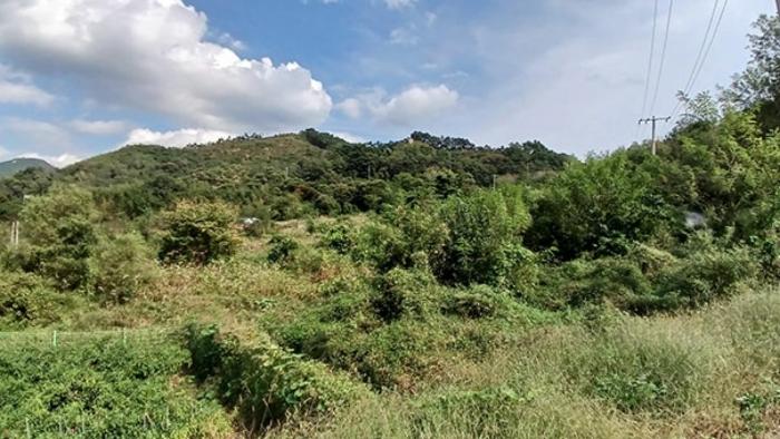 경상남도 합천군 묘산면 관기리 502-3 임야 경매 사진 33
