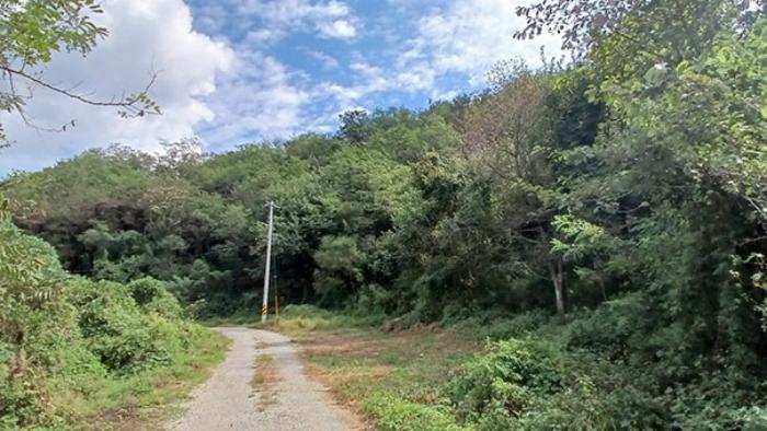 경상남도 합천군 묘산면 관기리 502-3 임야 경매 사진 37