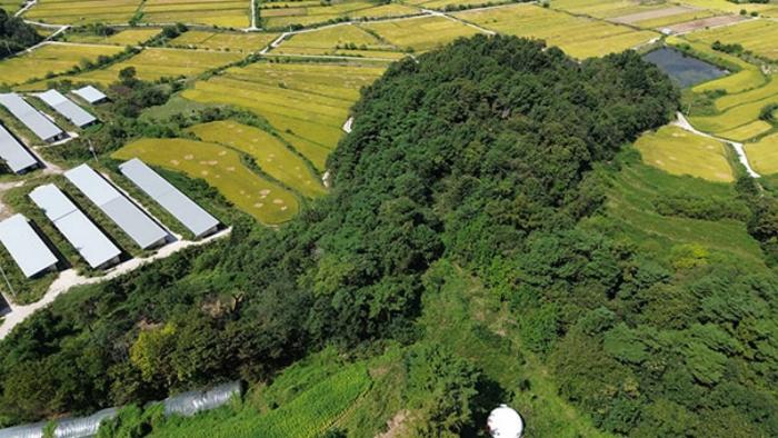 경상남도 합천군 묘산면 관기리 502-3 임야 경매 사진 38