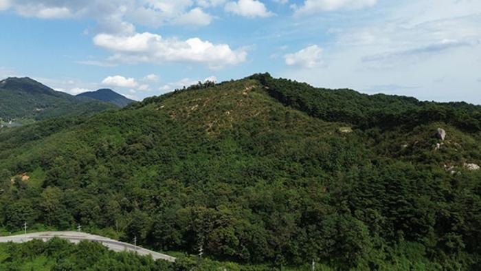경상남도 합천군 묘산면 관기리 502-3 임야 경매 사진 45