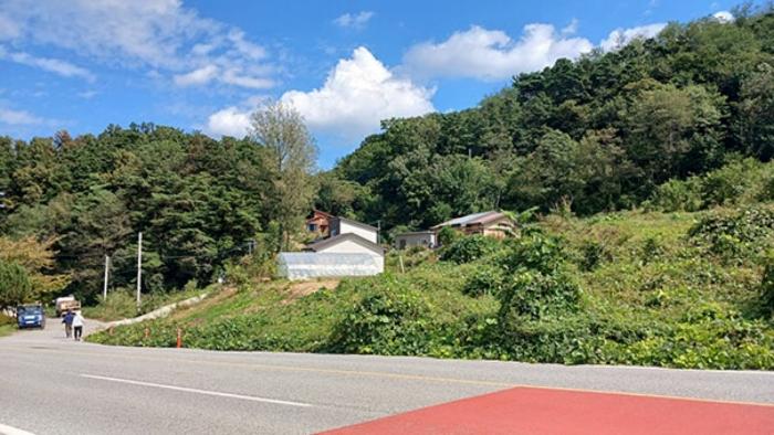 경상남도 합천군 묘산면 관기리 502-3 임야 경매 사진 48