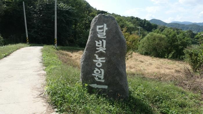 경상남도 합천군 묘산면 관기리 502-3 임야 경매 사진 51