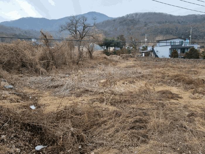 경기도 광주시 남종면 삼성리 291-65 대지 경매 사진 5