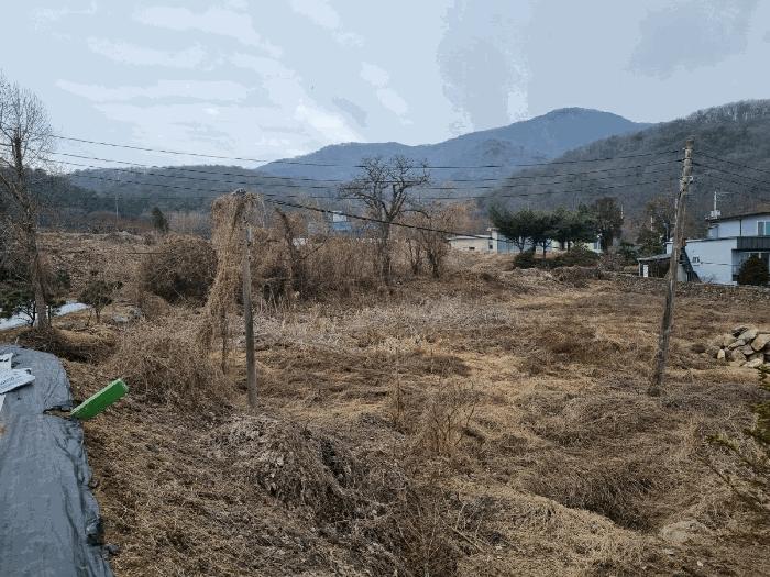 경기도 광주시 남종면 삼성리 291-73 대지 경매 사진 3