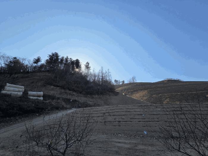 강원특별자치도 홍천군 서면 두미리 산36 임야 경매 사진 4