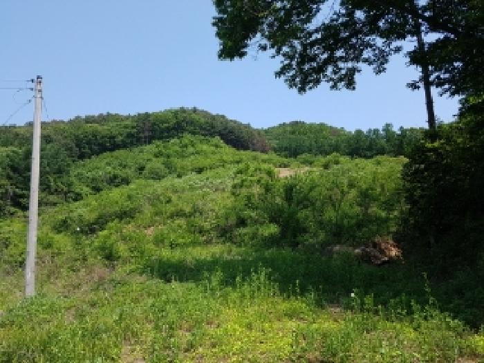 강원특별자치도 홍천군 서면 두미리 산36 임야 경매 사진 41