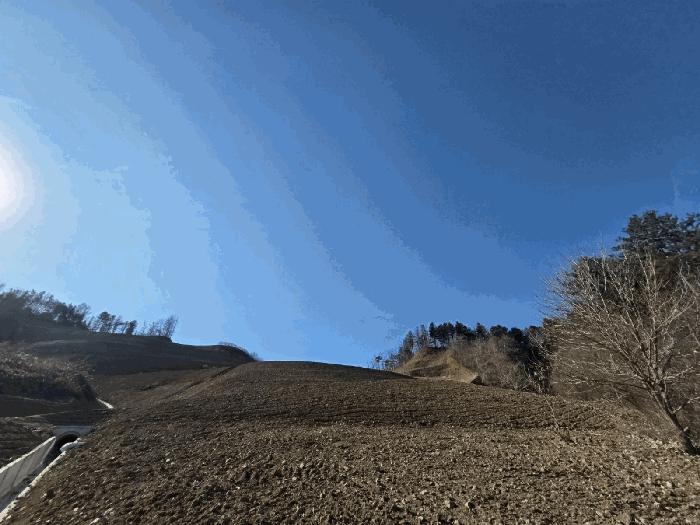 강원특별자치도 홍천군 서면 반곡리 산89 임야 경매 사진 3