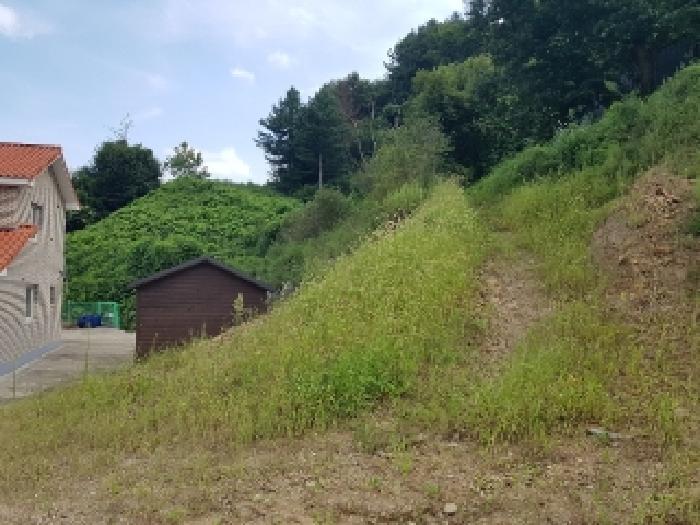 강원특별자치도 홍천군 서면 반곡리 산89 임야 경매 사진 30