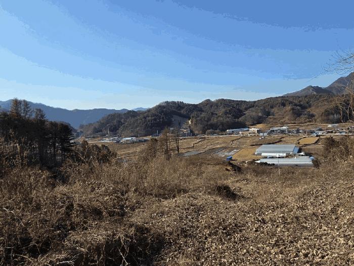 강원특별자치도 홍천군 서면 반곡리 산89 임야 경매 사진 9