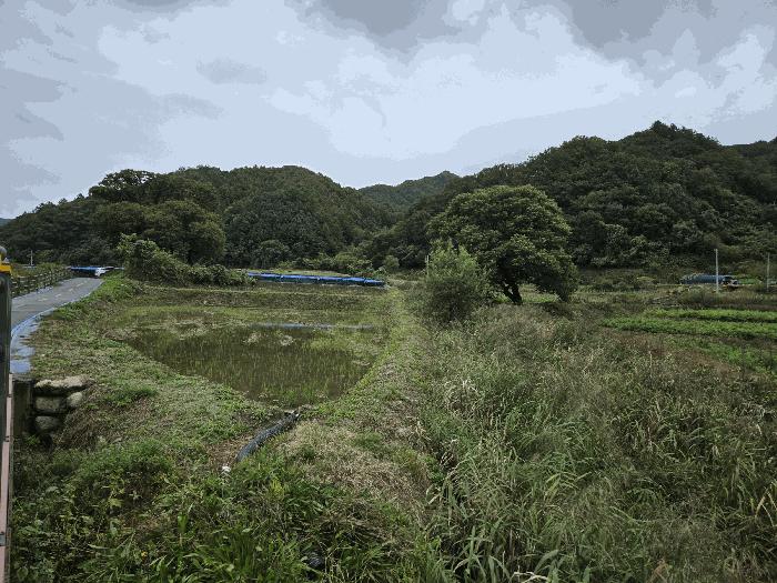 강원특별자치도 화천군 화천읍 풍산리 400 답 경매 사진 1
