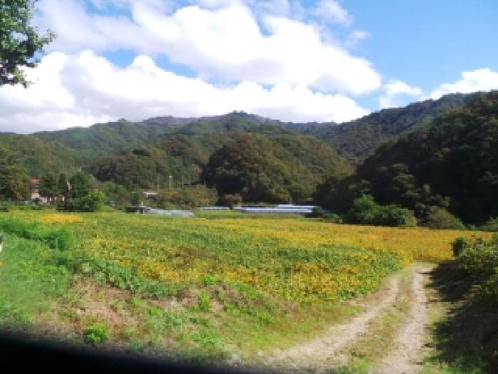 강원특별자치도 화천군 화천읍 풍산리 400 답 경매 사진 10