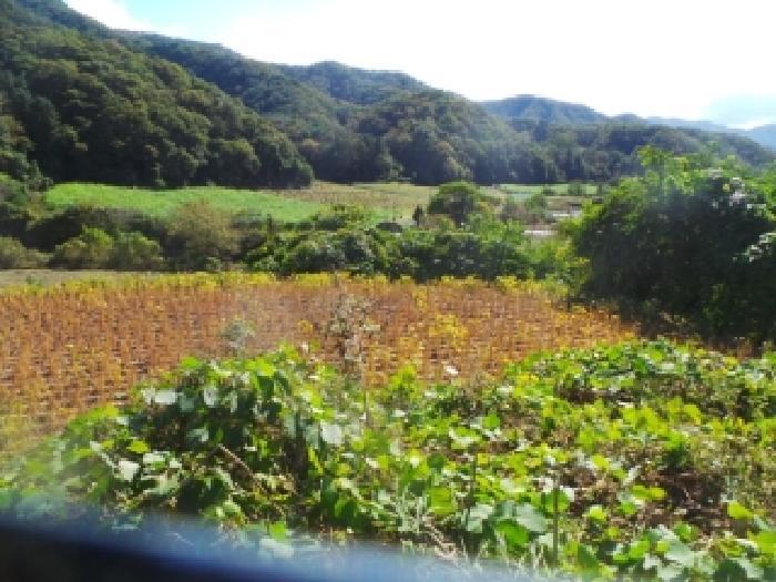 강원특별자치도 화천군 화천읍 풍산리 400 답 경매 사진 16