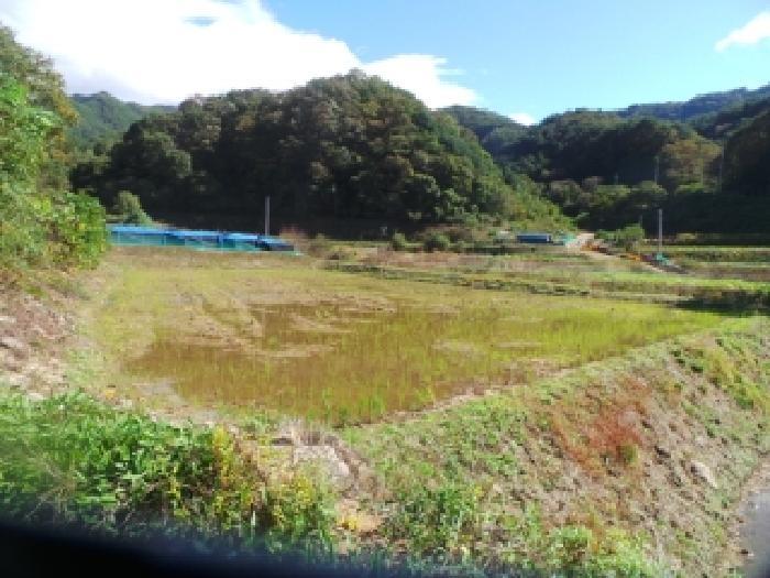 강원특별자치도 화천군 화천읍 풍산리 400 답 경매 사진 18