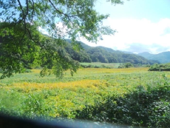 강원특별자치도 화천군 화천읍 풍산리 466-2 전 경매 사진 12