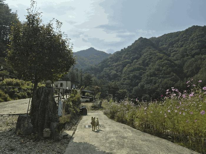 강원특별자치도 인제군 상남면 미산리 555-7 주택 경매 사진 1