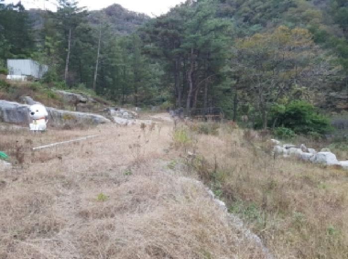 강원특별자치도 인제군 상남면 미산리 555-7 주택 경매 사진 12