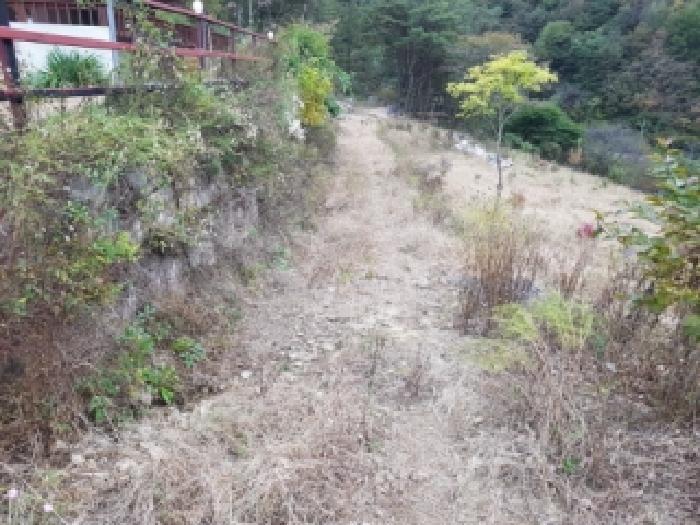 강원특별자치도 인제군 상남면 미산리 555-7 주택 경매 사진 14