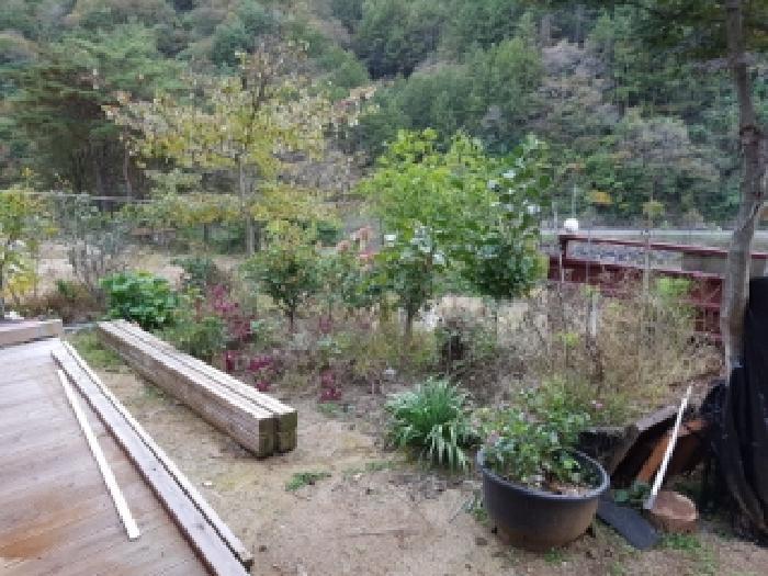 강원특별자치도 인제군 상남면 미산리 555-7 주택 경매 사진 25
