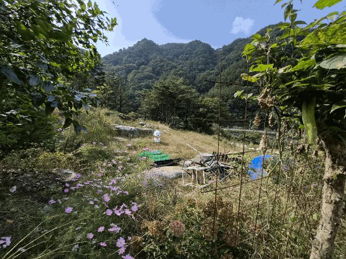 강원특별자치도 인제군 상남면 미산리 555-7 주택 경매 사진 5