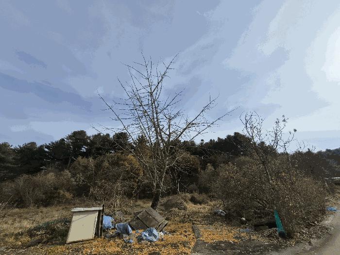 강원특별자치도 홍천군 화촌면 풍천리 산67 임야 경매 사진 1