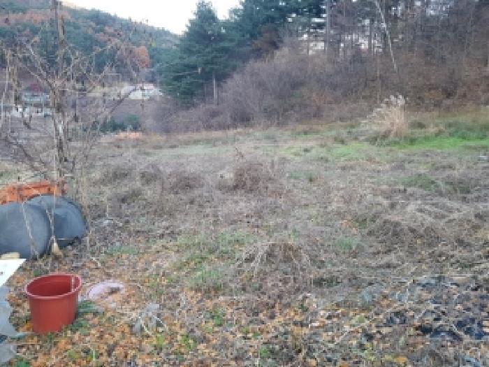 강원특별자치도 홍천군 화촌면 풍천리 산67 임야 경매 사진 10