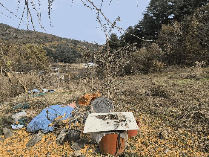 강원특별자치도 홍천군 화촌면 풍천리 산67 임야 경매 사진 4