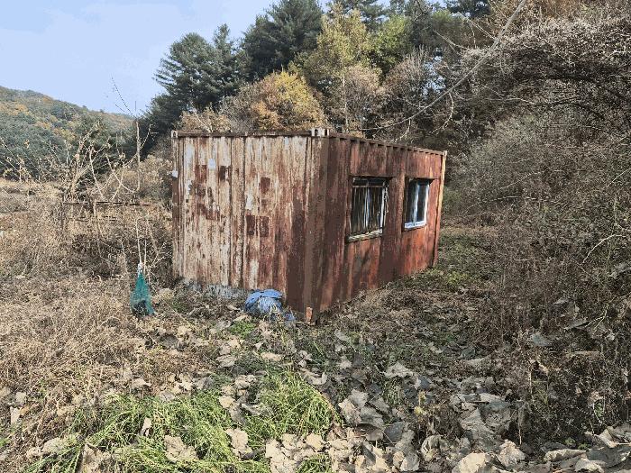 강원특별자치도 홍천군 화촌면 풍천리 산67 임야 경매 사진 5