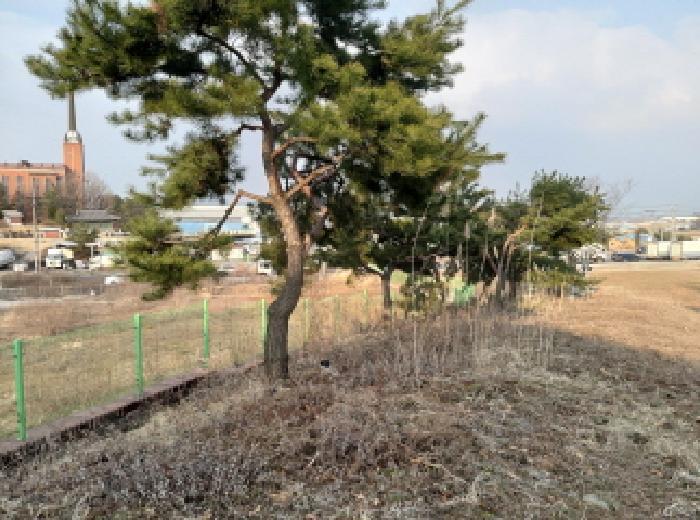 경기도 평택시 포승읍 원정리 328 전 경매 사진 10