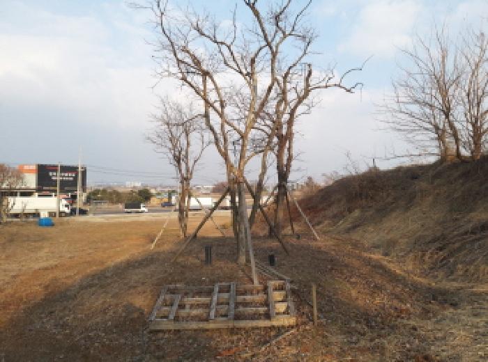 경기도 평택시 포승읍 원정리 328 전 경매 사진 17