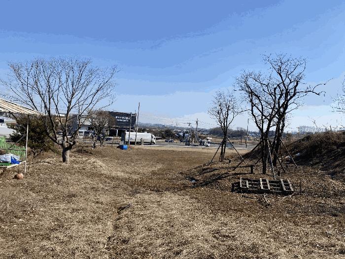 경기도 평택시 포승읍 원정리 328 전 경매 사진 5