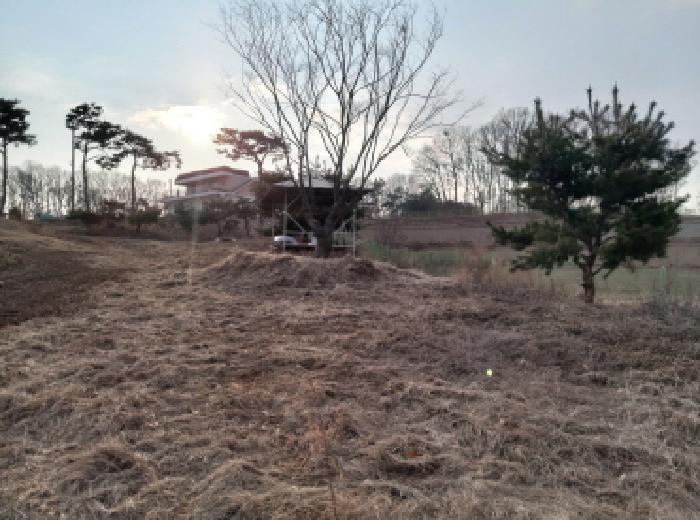 경기도 평택시 포승읍 원정리 328 전 경매 사진 7