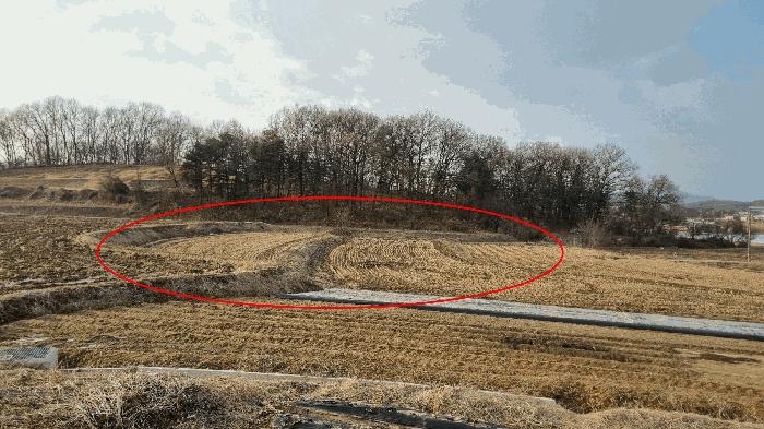 경기도 안성시 일죽면 장암리 100 전 경매 사진 4