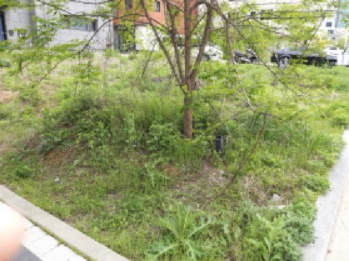경기도 평택시 고덕동 2474-2 대지 경매 사진 2