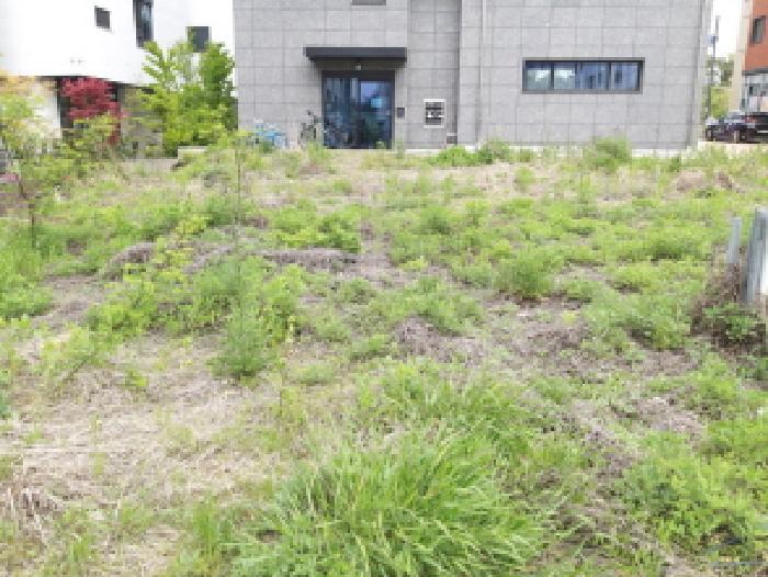 경기도 평택시 고덕동 2474-2 대지 경매 사진 3