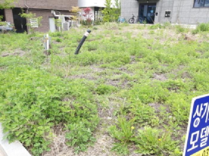 경기도 평택시 고덕동 2474-2 대지 경매 사진 4