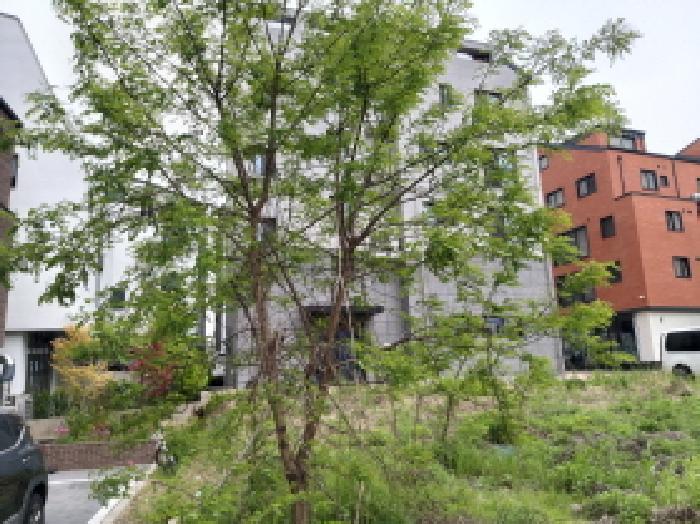 경기도 평택시 고덕동 2474-2 대지 경매 사진 6
