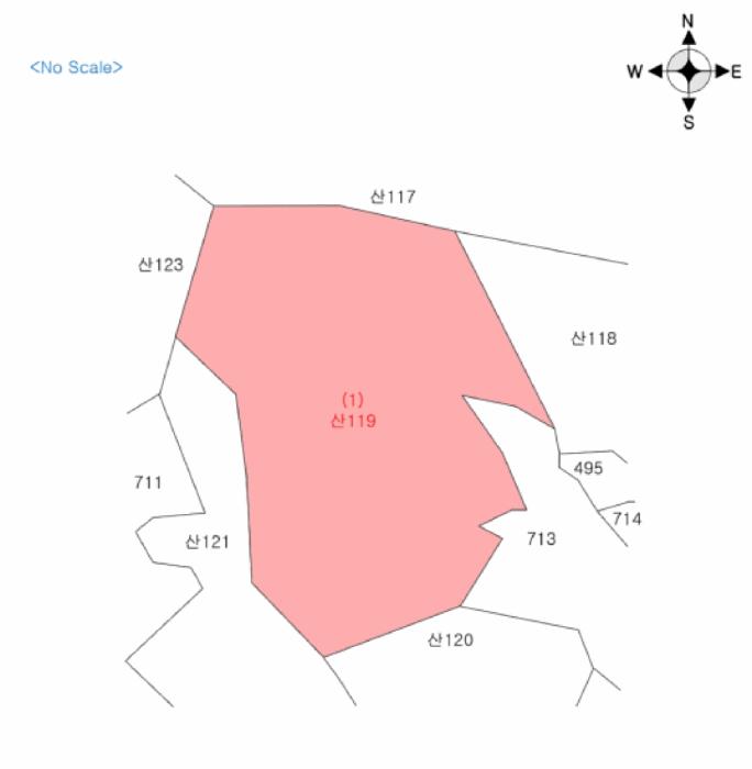 강원특별자치도 화천군 사내면 사창리 산119 임야 경매 사진 14
