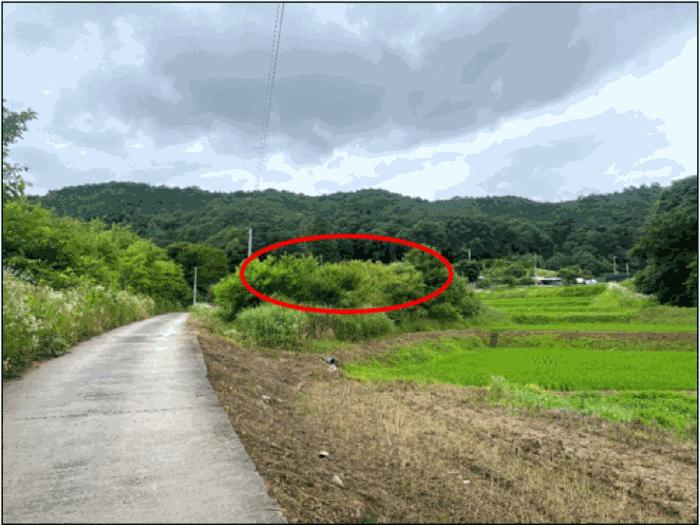 강원특별자치도 원주시 흥업면 대안리 142 답 경매 사진 3