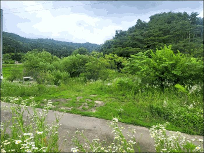 강원특별자치도 원주시 흥업면 대안리 142 답 경매 사진 4
