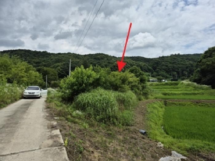 강원특별자치도 원주시 흥업면 대안리 142 답 경매 사진 5