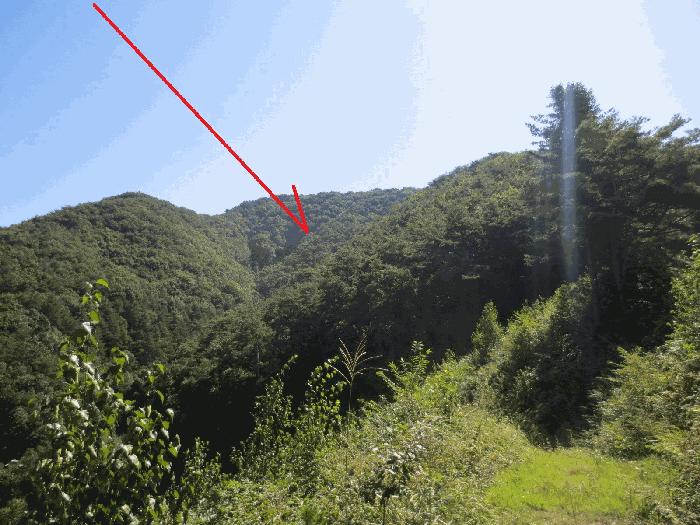강원 홍천군 임야