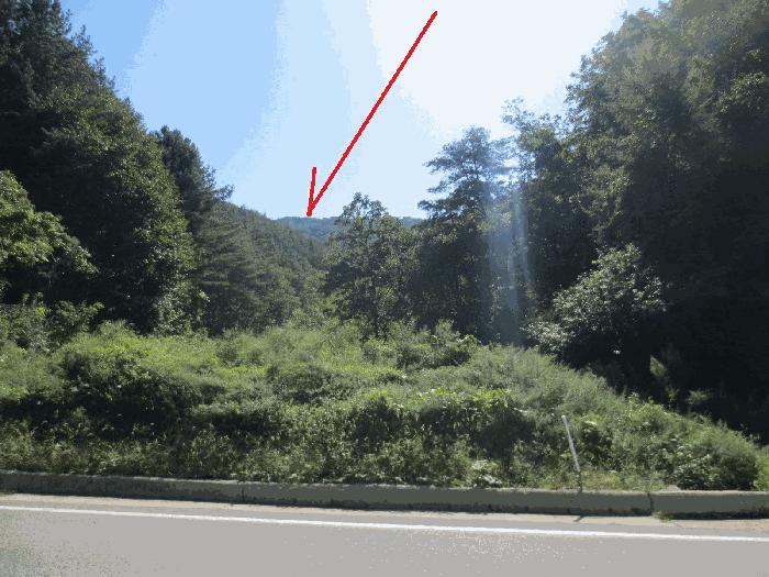 강원특별자치도 홍천군 남면 양덕원리 산19 임야 경매 사진 2
