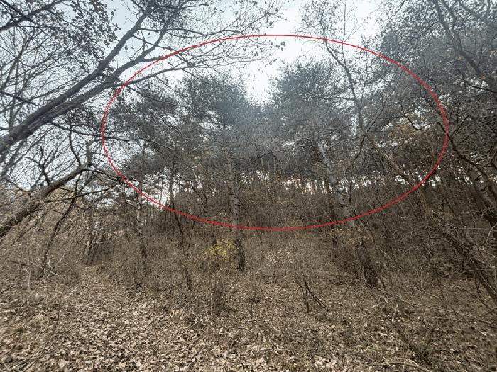 강원 양구군 전