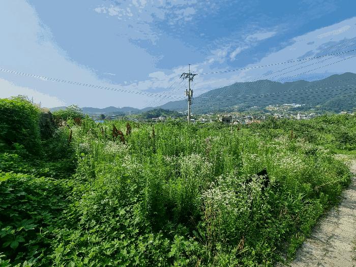 충청북도 충주시 과수원