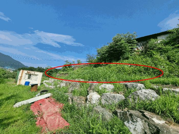 충청북도 충주시 안림동 393-3 과수원 경매 사진 2