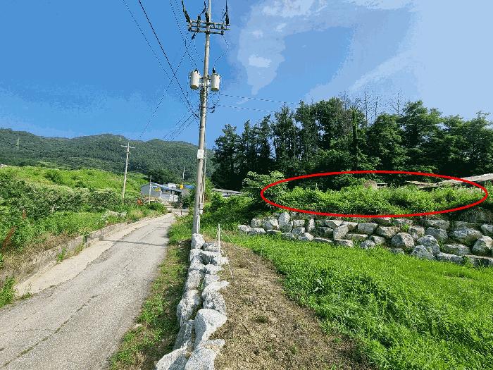 충청북도 충주시 안림동 393-3 과수원 경매 사진 3