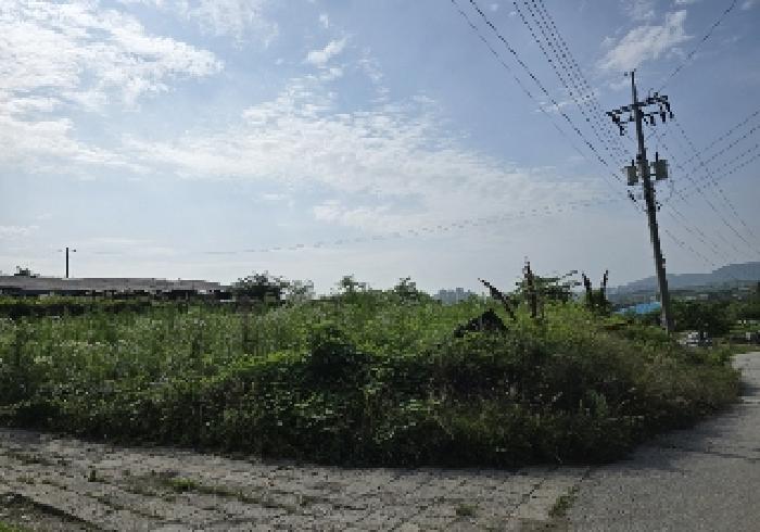 충청북도 충주시 안림동 393-3 과수원 경매 사진 5